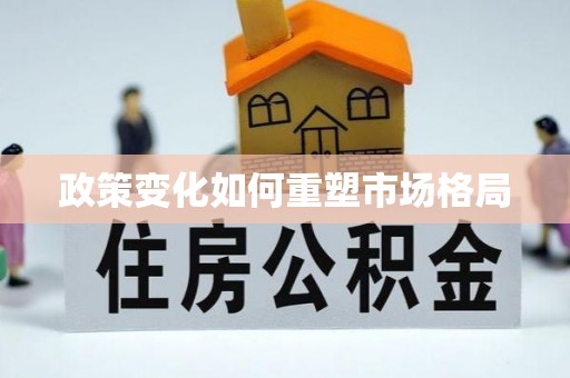 天等政策变化如何重塑市场格局