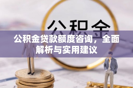 天等公积金贷款额度咨询，全面解析与实用建议