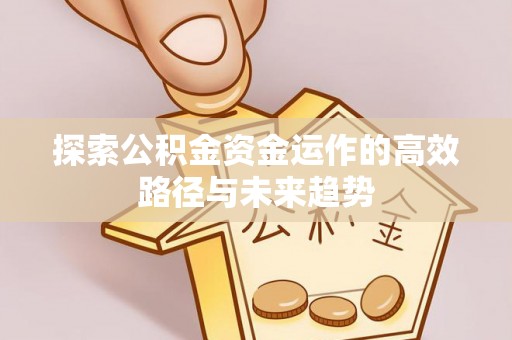 天等探索公积金资金运作的高效路径与未来趋势