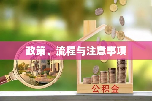 天等政策、流程与注意事项