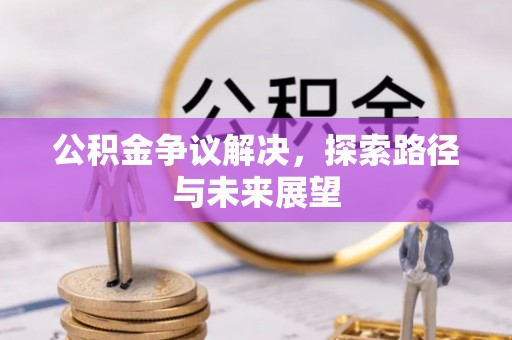 天等公积金争议解决，探索路径与未来展望