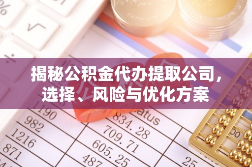 天等揭秘公积金代办提取公司，选择、风险与优化方案