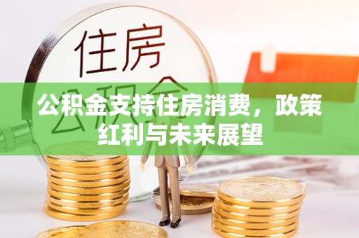 天等公积金支持住房消费，政策红利与未来展望