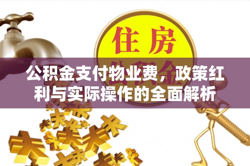 天等公积金支付物业费，政策红利与实际操作的全面解析