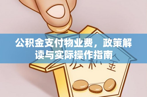 天等公积金支付物业费，政策解读与实际操作指南