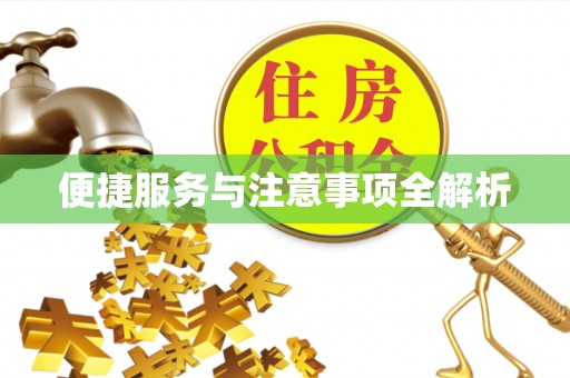 天等便捷服务与注意事项全解析