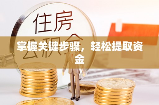 天等掌握关键步骤，轻松提取资金
