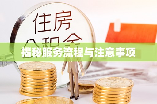 天等揭秘服务流程与注意事项