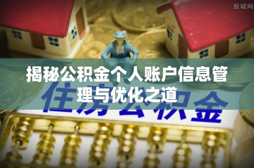 天等揭秘公积金个人账户信息管理与优化之道