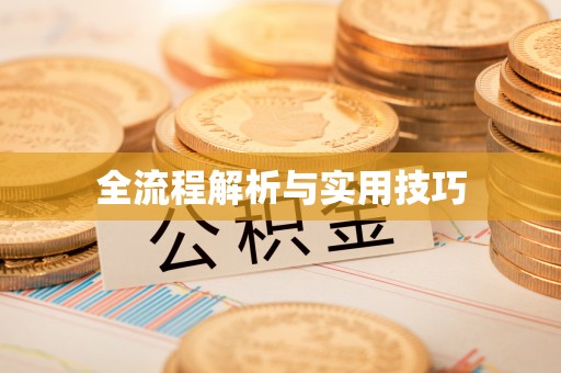 天等全流程解析与实用技巧