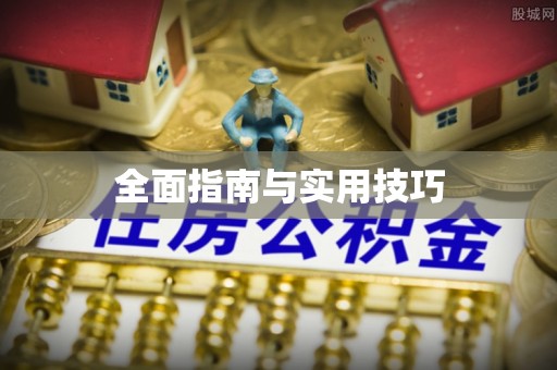 天等全面指南与实用技巧