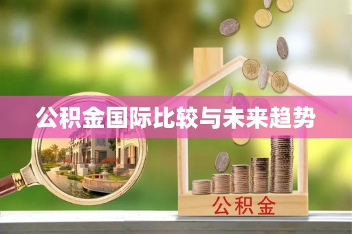 天等公积金国际比较与未来趋势