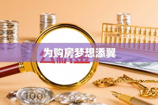 天等为购房梦想添翼