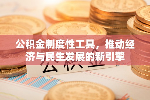 天等公积金制度性工具，推动经济与民生发展的新引擎