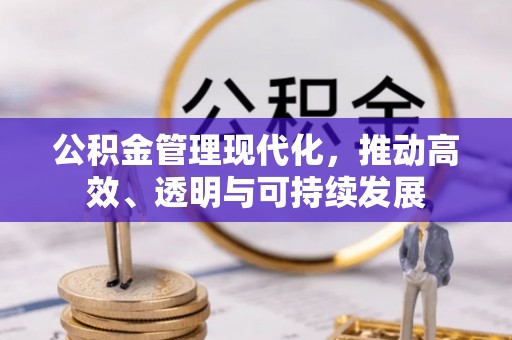 天等公积金管理现代化，推动高效、透明与可持续发展