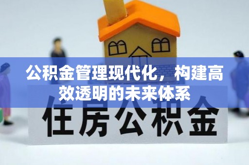 天等公积金管理现代化，构建高效透明的未来体系