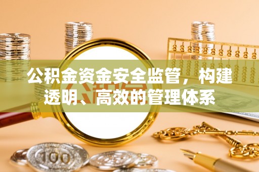 天等公积金资金安全监管，构建透明、高效的管理体系