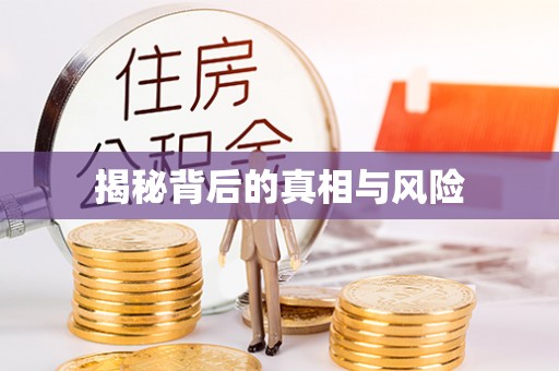 天等揭秘背后的真相与风险