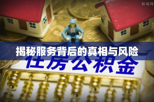 天等揭秘服务背后的真相与风险