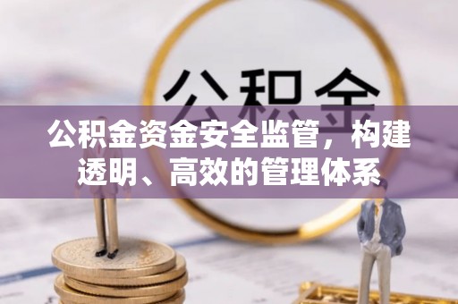 天等公积金资金安全监管，构建透明、高效的管理体系