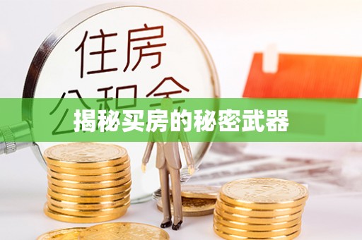 天等揭秘买房的秘密武器