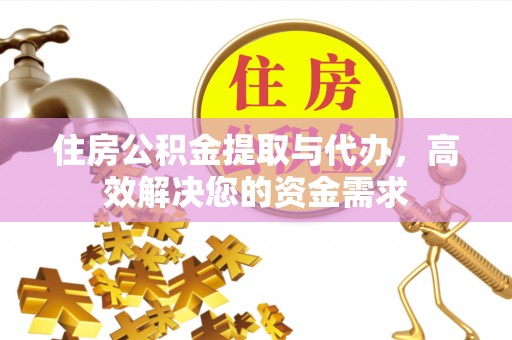 天等住房公积金提取与代办，高效解决您的资金需求
