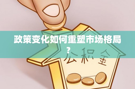 天等政策变化如何重塑市场格局？