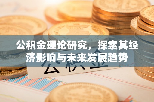 天等公积金理论研究，探索其经济影响与未来发展趋势