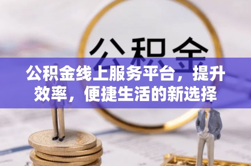 天等公积金线上服务平台，提升效率，便捷生活的新选择