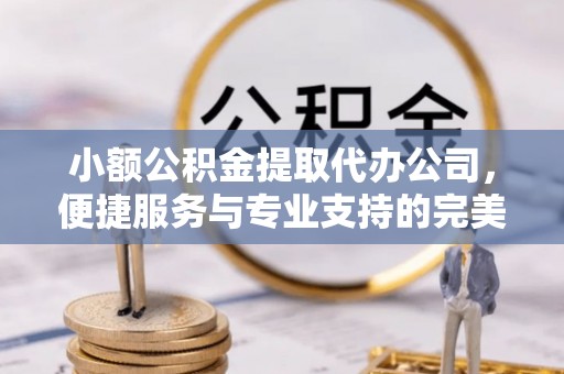 天等小额公积金提取代办公司，便捷服务与专业支持的完美结合