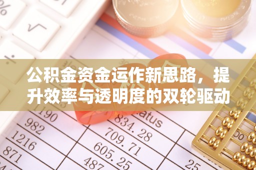天等公积金资金运作新思路，提升效率与透明度的双轮驱动