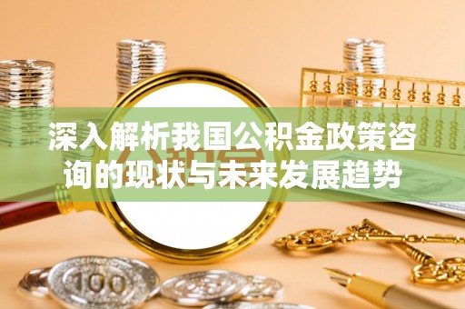 天等深入解析我国公积金政策咨询的现状与未来发展趋势