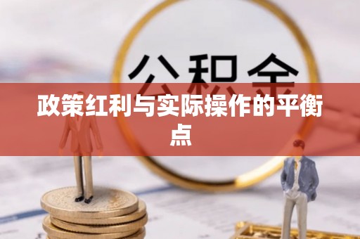 天等政策红利与实际操作的平衡点