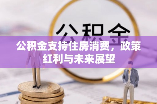 天等公积金支持住房消费，政策红利与未来展望