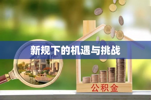 天等新规下的机遇与挑战