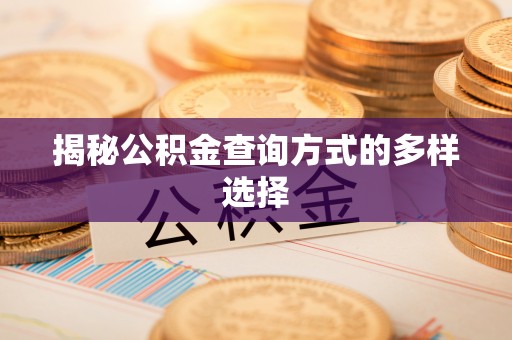 天等揭秘公积金查询方式的多样选择