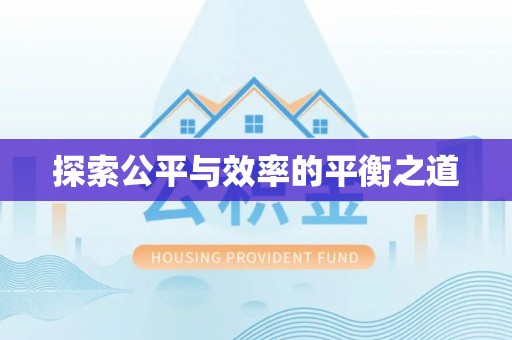 天等探索公平与效率的平衡之道