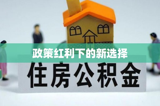 天等政策红利下的新选择