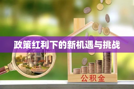 天等政策红利下的新机遇与挑战