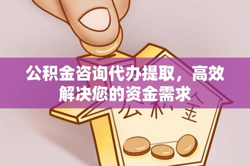 天等公积金咨询代办提取，高效解决您的资金需求