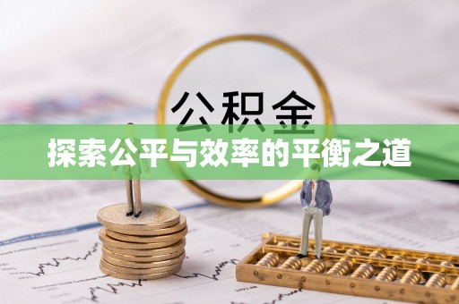 天等探索公平与效率的平衡之道