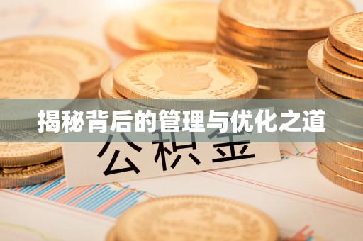天等揭秘背后的管理与优化之道
