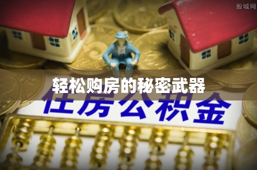 天等轻松购房的秘密武器