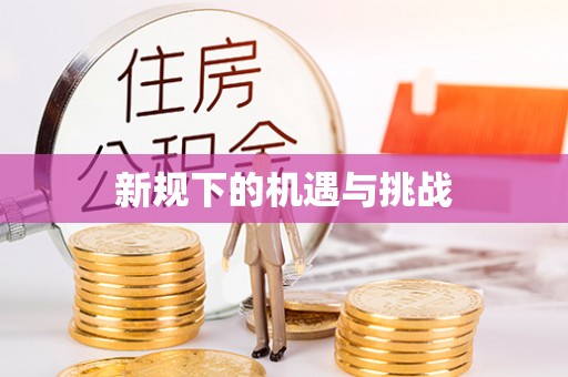 天等新规下的机遇与挑战