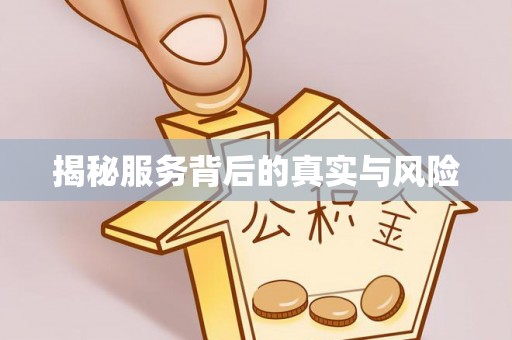 天等揭秘服务背后的真实与风险
