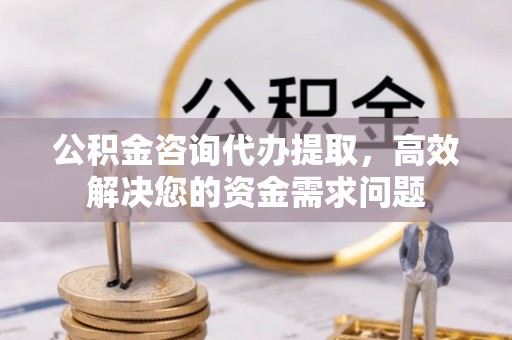 天等公积金咨询代办提取，高效解决您的资金需求问题