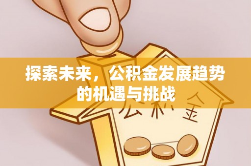 天等探索未来，公积金发展趋势的机遇与挑战