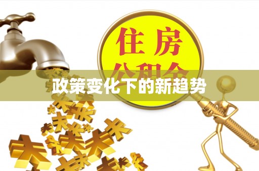 天等政策变化下的新趋势
