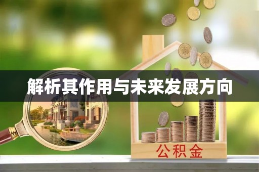 天等解析其作用与未来发展方向