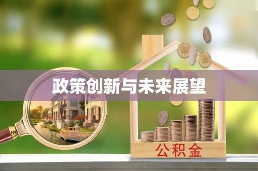 天等政策创新与未来展望